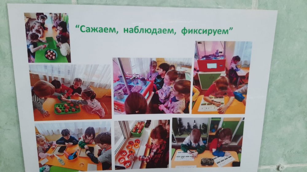 img (9)